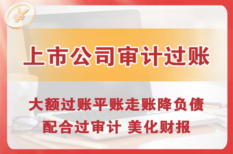 酉阳上市公司审计过账